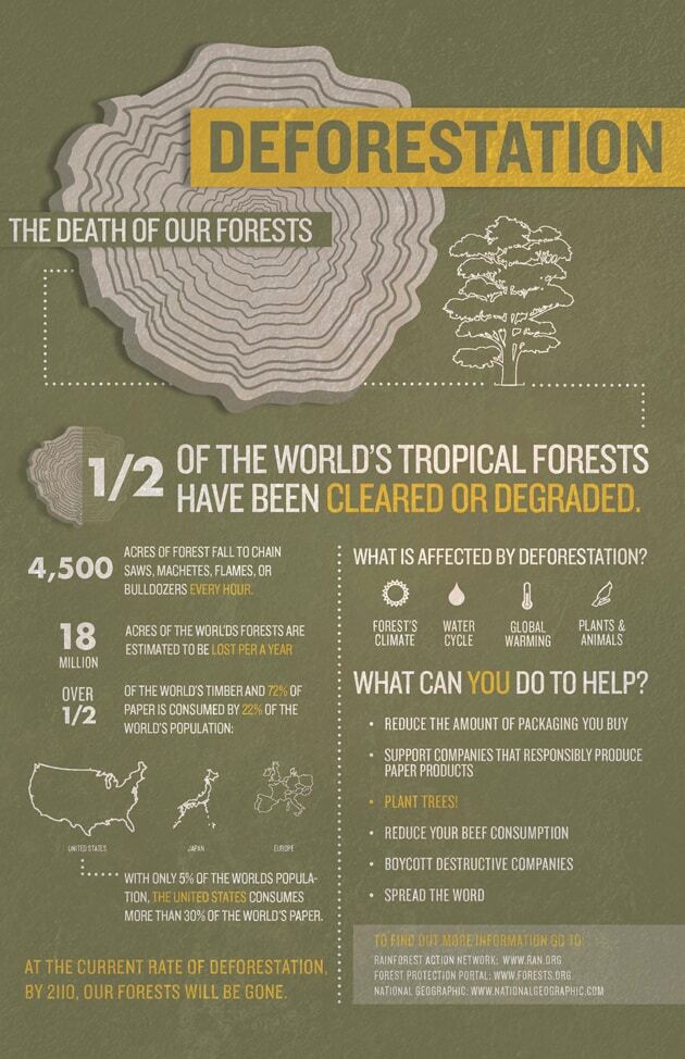 Infographic JessicaStrelioff