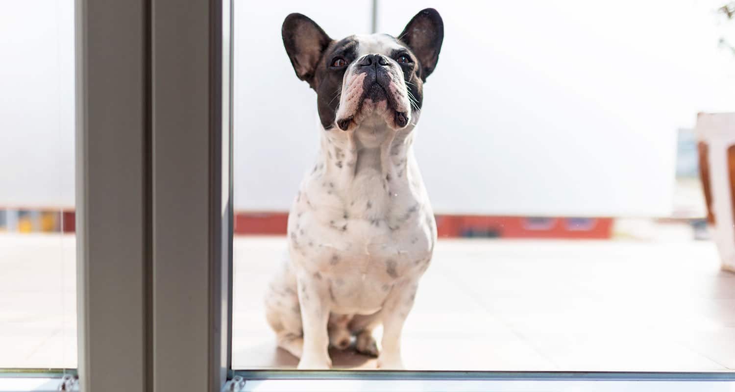 Should you get window tint or film for your home in the San Francisco Bay Area? Does window tint save you money? ClimatePro offers free home estimates.