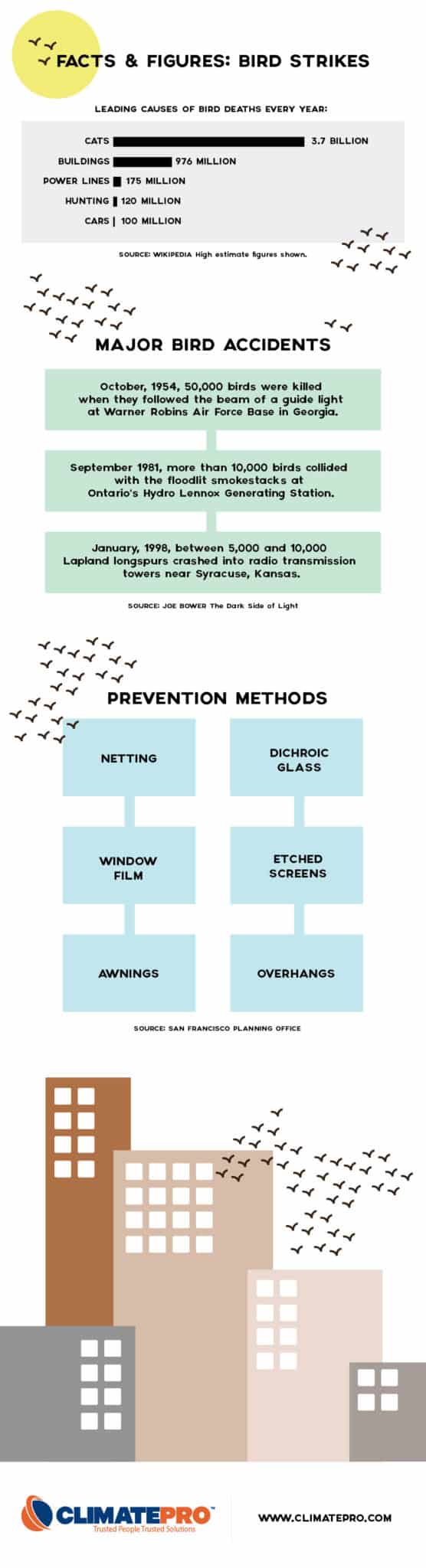 BIRD-STRIKE-INFOGRAPHIC