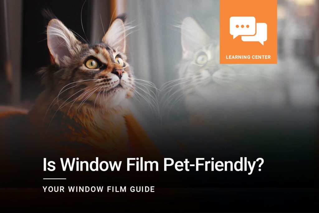 FAQ: Is Window Film Pet-Friendly? FInd the answer from ClimatePro, the San Francisco Bay Area's window film experts.